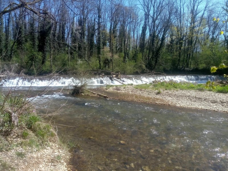Arlay, Ruffey s/Seille en longeant la Seille - Arlay