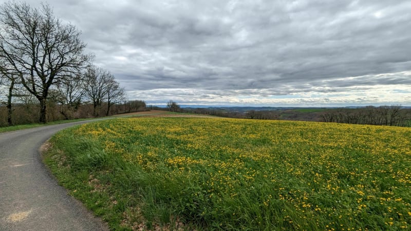 Rando Gravel ou VTT au départ Lombers - Lombers