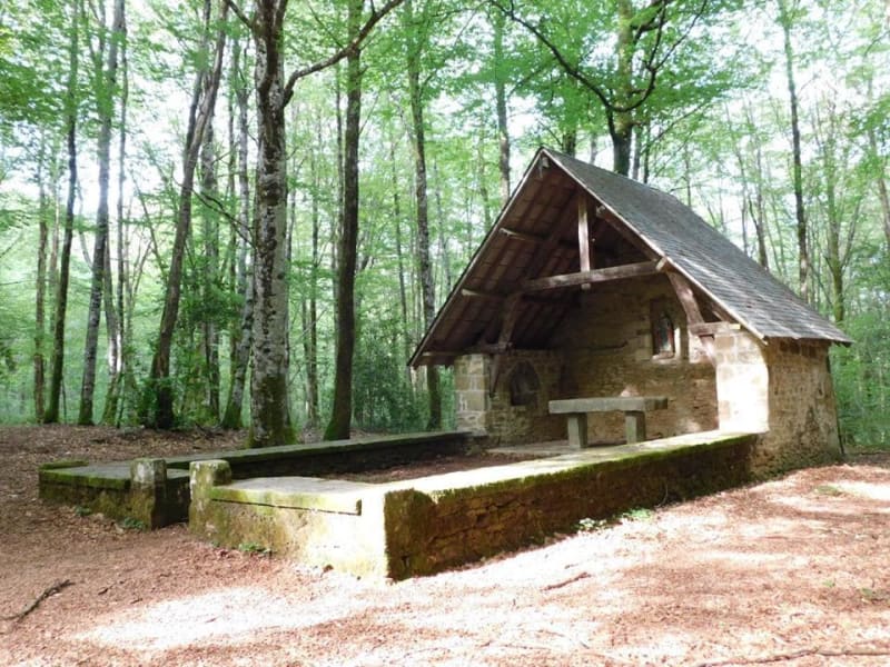 Circuit VTT du bois d'Anjou par Soudaine-Lavinadière - Chamberet