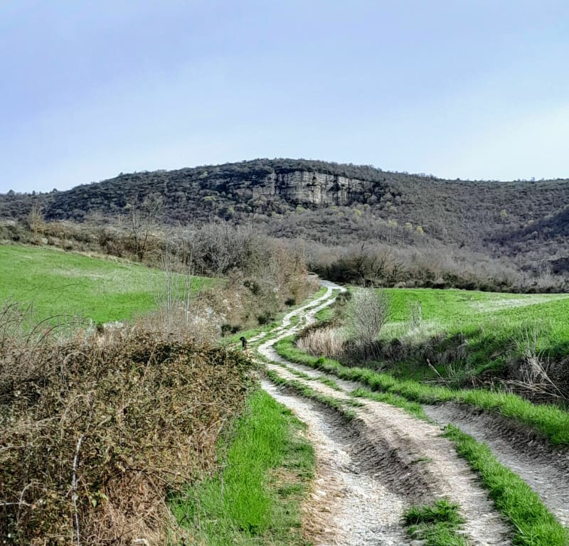 Ceilhes-col du Canarie-Rocozels-Ruisseau de la Jure - Ceilhes-et-Rocozels
