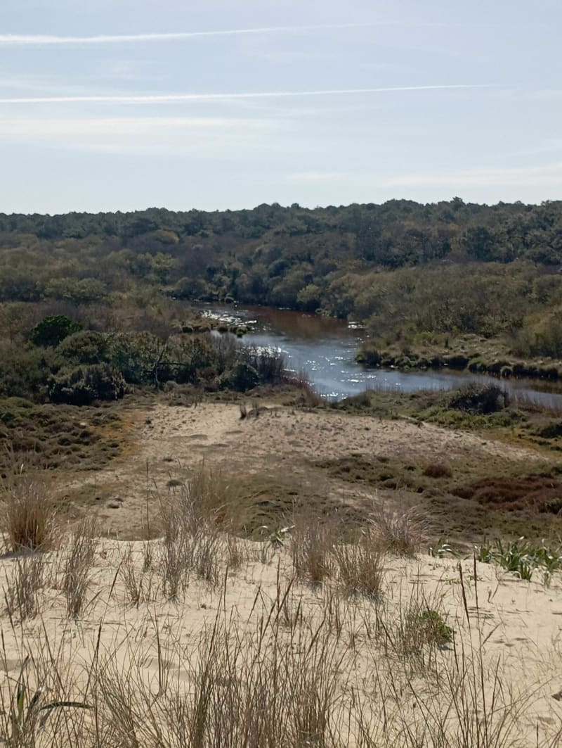 Entre forêt et plage au près de Léon - Moliets-et-Maa