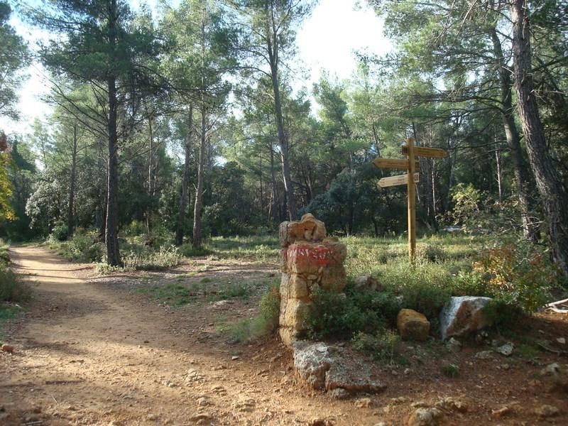 Circuit du Plateau de Bibémus VTT - Le Tholonet