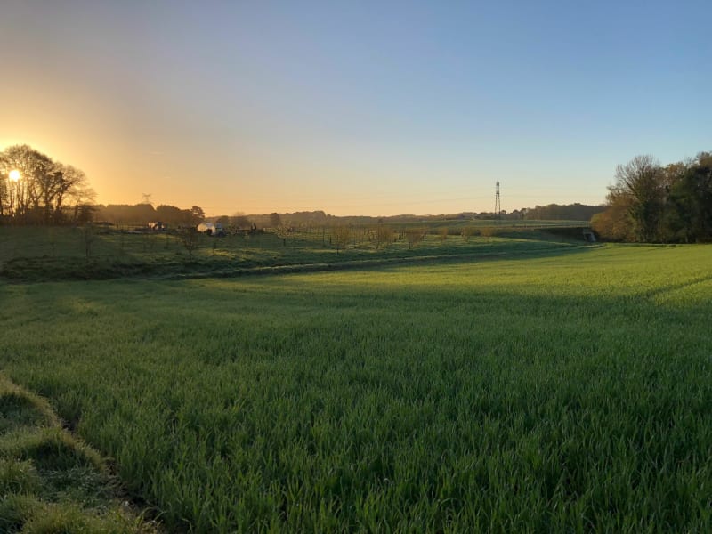 Bois du Gouerric - Guidel