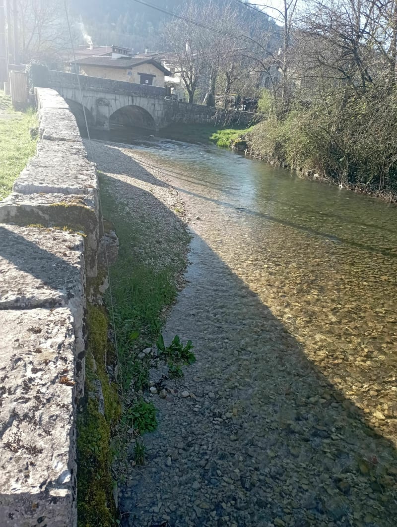 Tite course matinale à Poncin - Poncin
