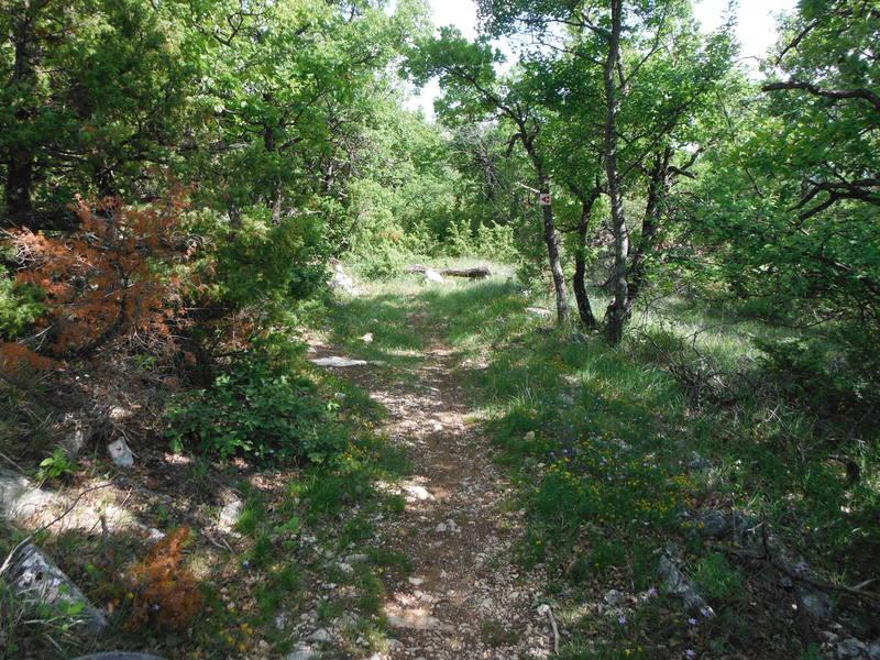 La classique du Clot VTT - Forcalquier