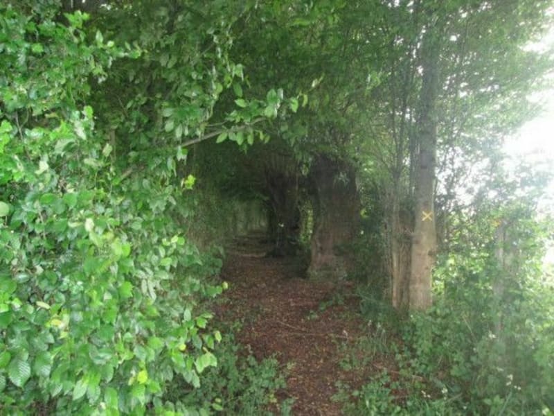Boucle sentiers et forêt Englefontaine - Englefontaine