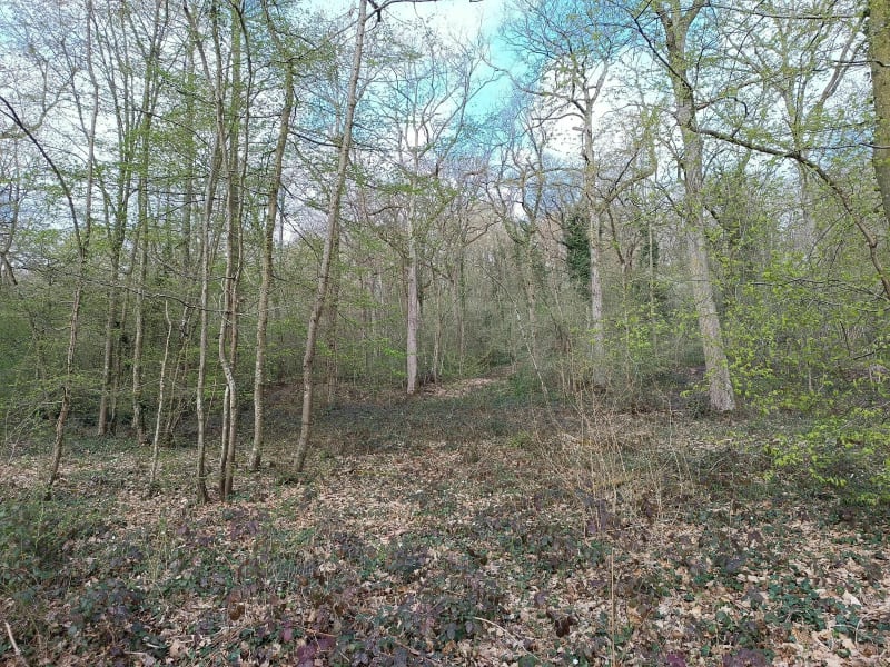 Saint-Laurent-des-bois - Marcilly-sur-Eure