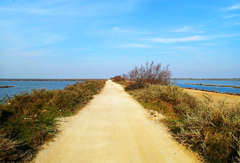 La digue à la mer au Saintes-Maries-de-la-Mer à VTT - Saintes-Maries-de-la-Mer