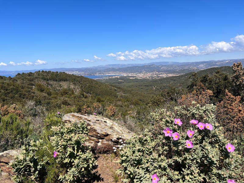La forêt de Janas par Notre-Dame du Mai et les Terres Gastes - La Seyne-sur-Mer