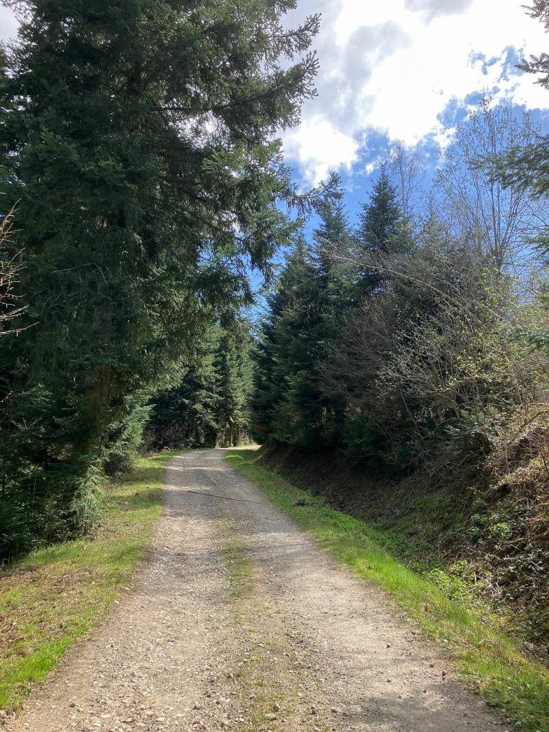 Autour de Cunlhat - Cunlhat
