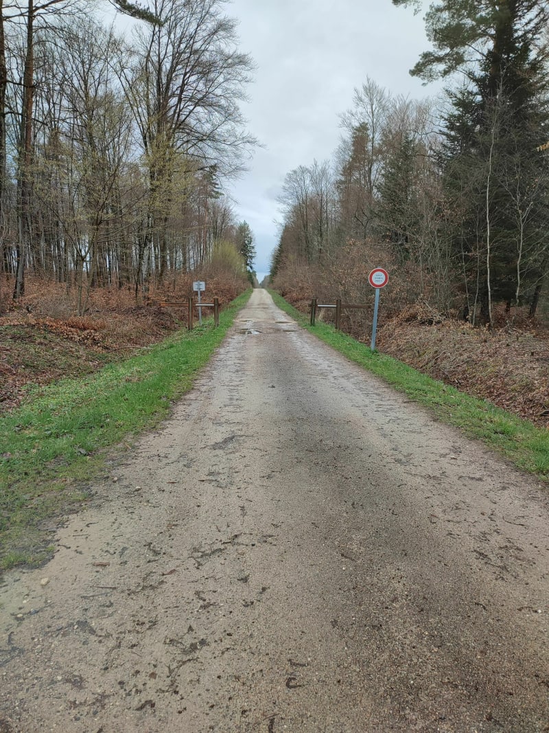 Autour de Sainte-Hélène - Sainte-Hélène
