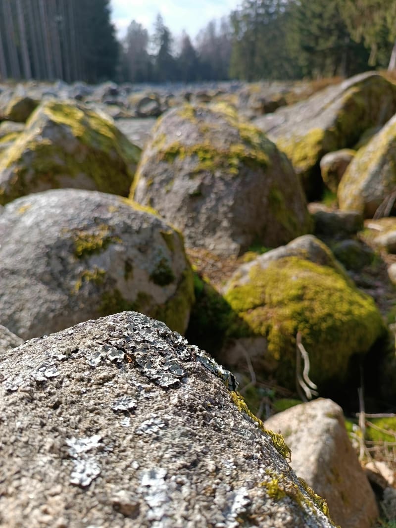 Le Champ de Roches par les Gouttelles - Arrentès-de-Corcieux