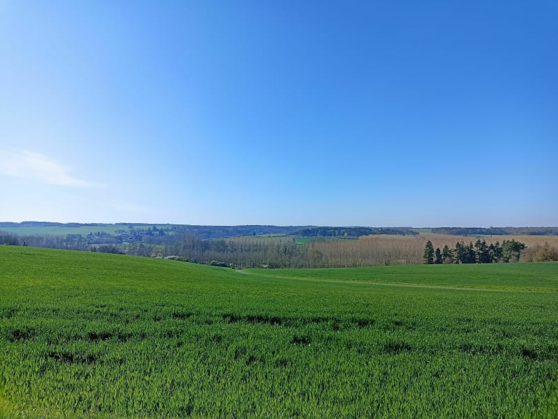 Randonnée nature dans la vallée du Lys - Azay-le-Rideau
