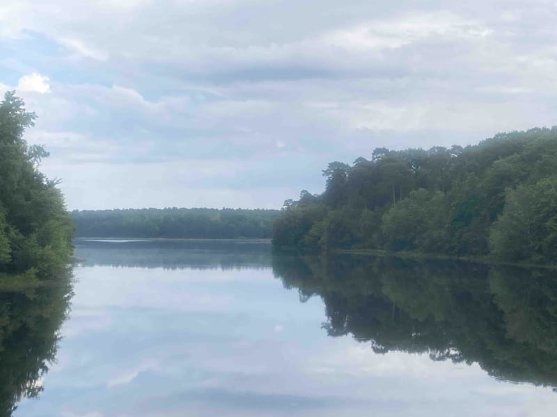 Entre les ponts le long de la Loire à VTT - Saint-Denis-de-l'Hôtel