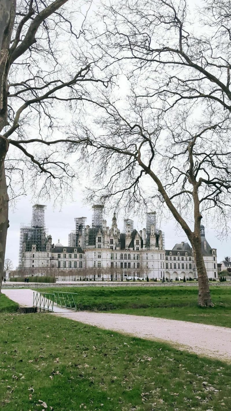 Tout droit à Chambord - Chambord