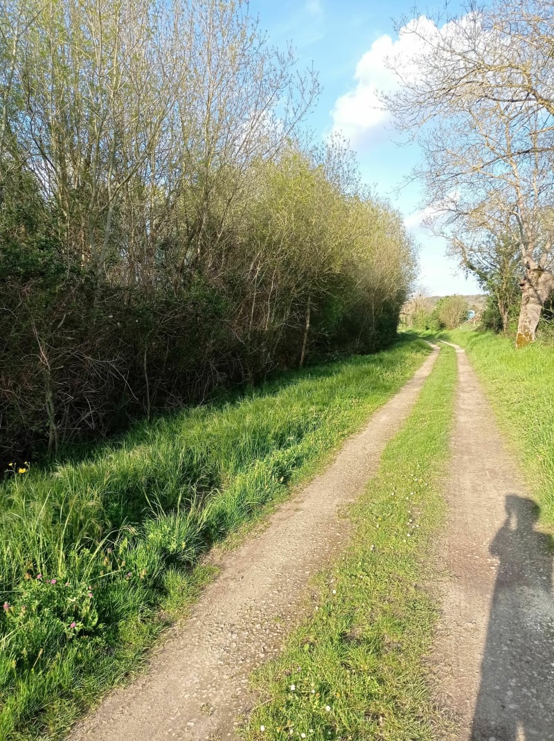 Retour de chez Archambault - Chinon