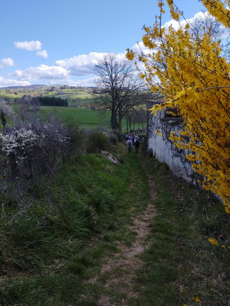 Sur les hauteurs d'Aveizieux par Garde-Milon - Aveizieux