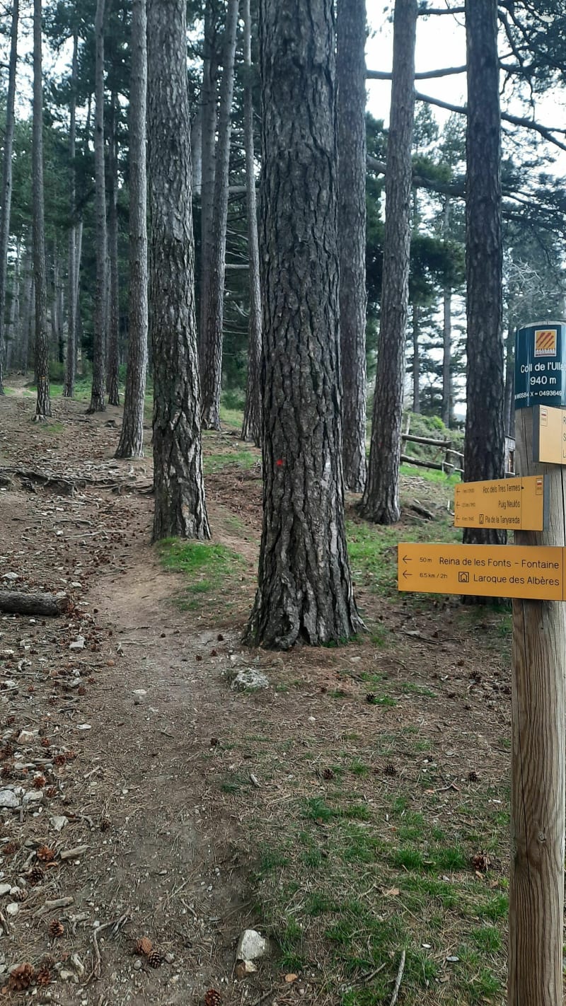 De Neulos-piek vanaf de Ouillat-pas. - Laroque-des-Albères