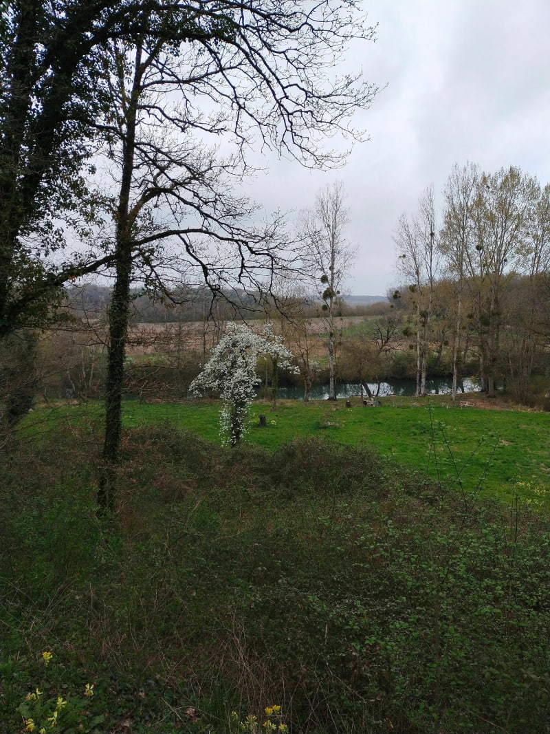 Balade autour du Moulin de Chaume - Champagné-Saint-Hilaire