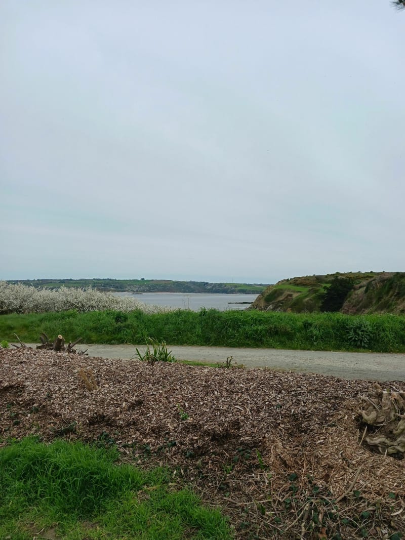 Balade presqu'île d Hillion - Hillion