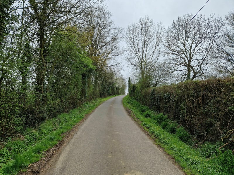 Balade dans le bois de Bretignolles par la Faye - Bretignolles