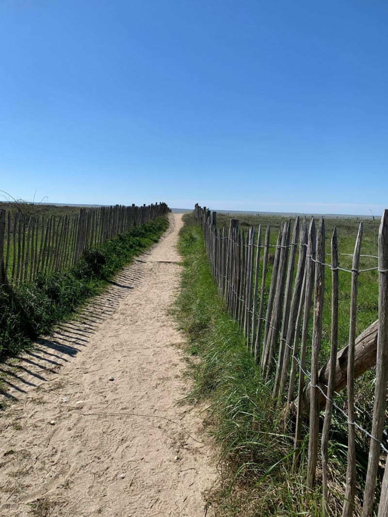 Marais Beaugeay Moëze Saint Froult à Vtc - Beaugeay
