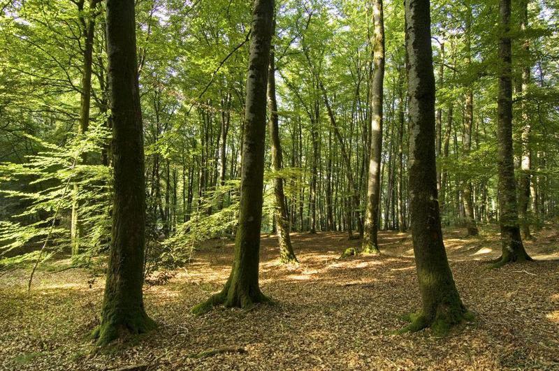 Circuit des Monts de Guéret en VTT - Sainte-Feyre
