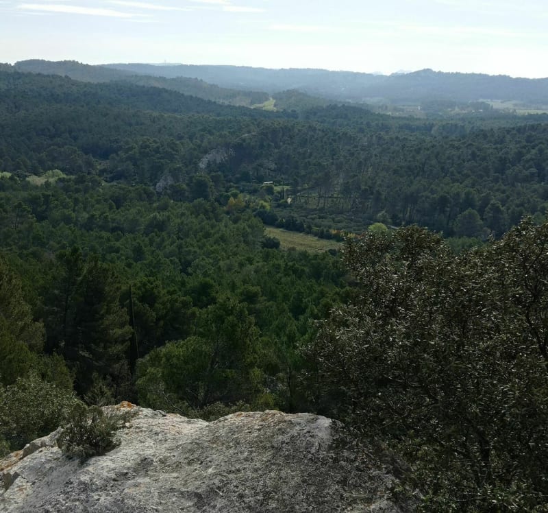Du vallon de la Leque aux Traversières - Fontvieille