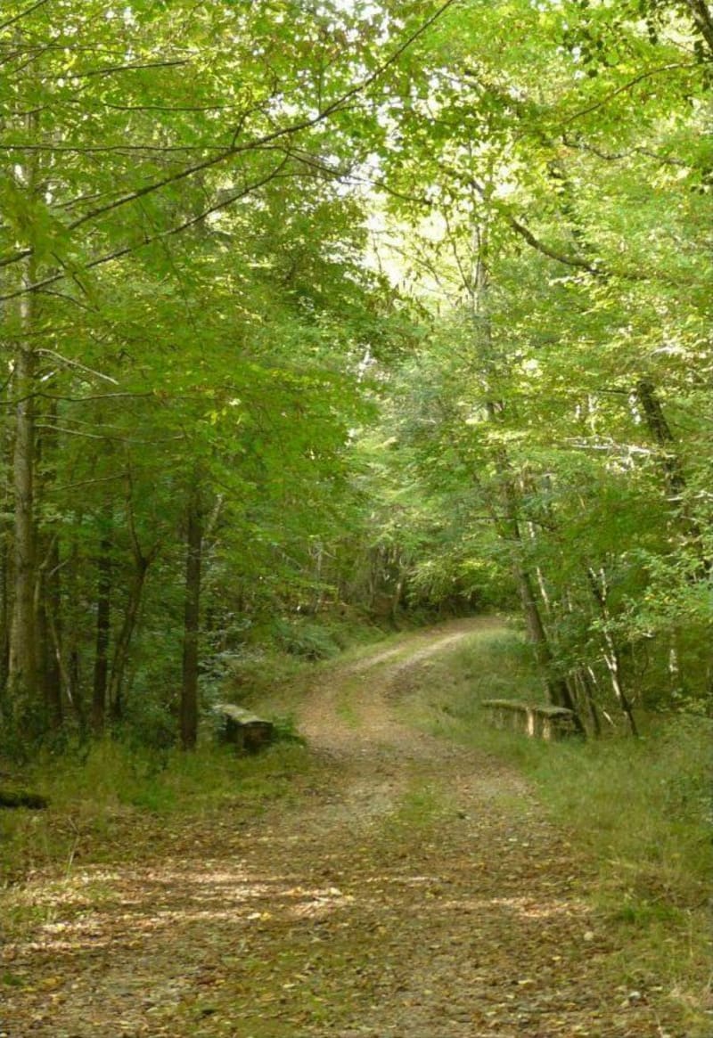 Gravel en Gresigne - Castelnau-de-Montmiral
