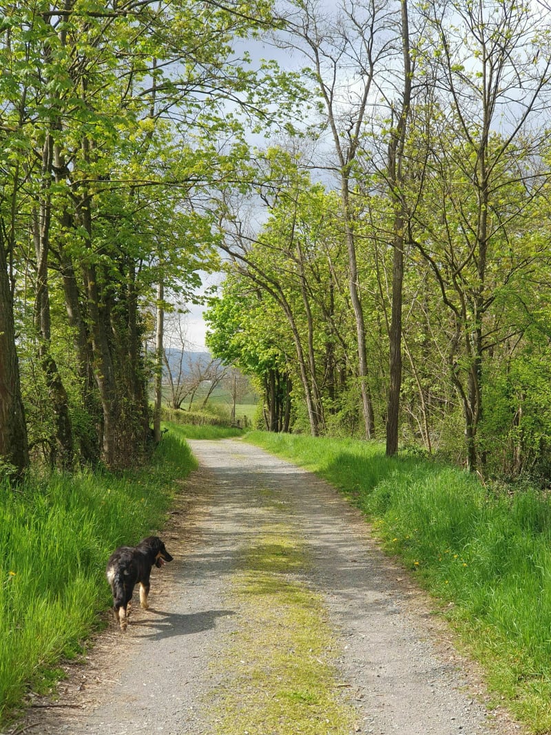 Dommartin à Lentilly - Dommartin