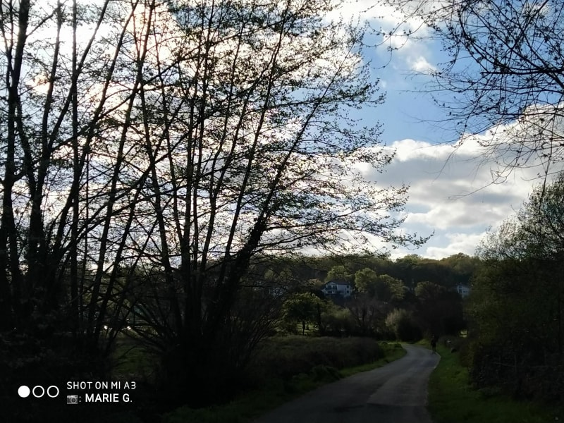 Balade chemin de Halage Bassussary - Bassussarry