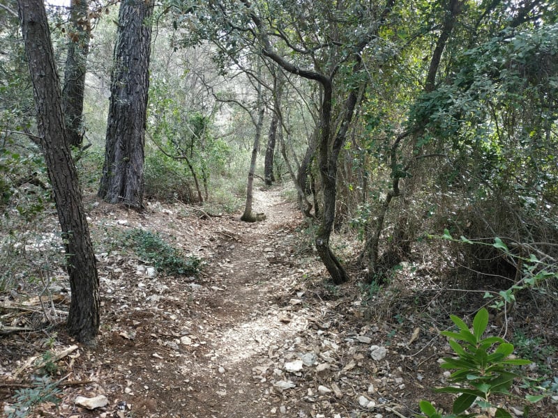Pour les amoureux de VTT et de nature à Sainte Anne d'Evenos - Évenos