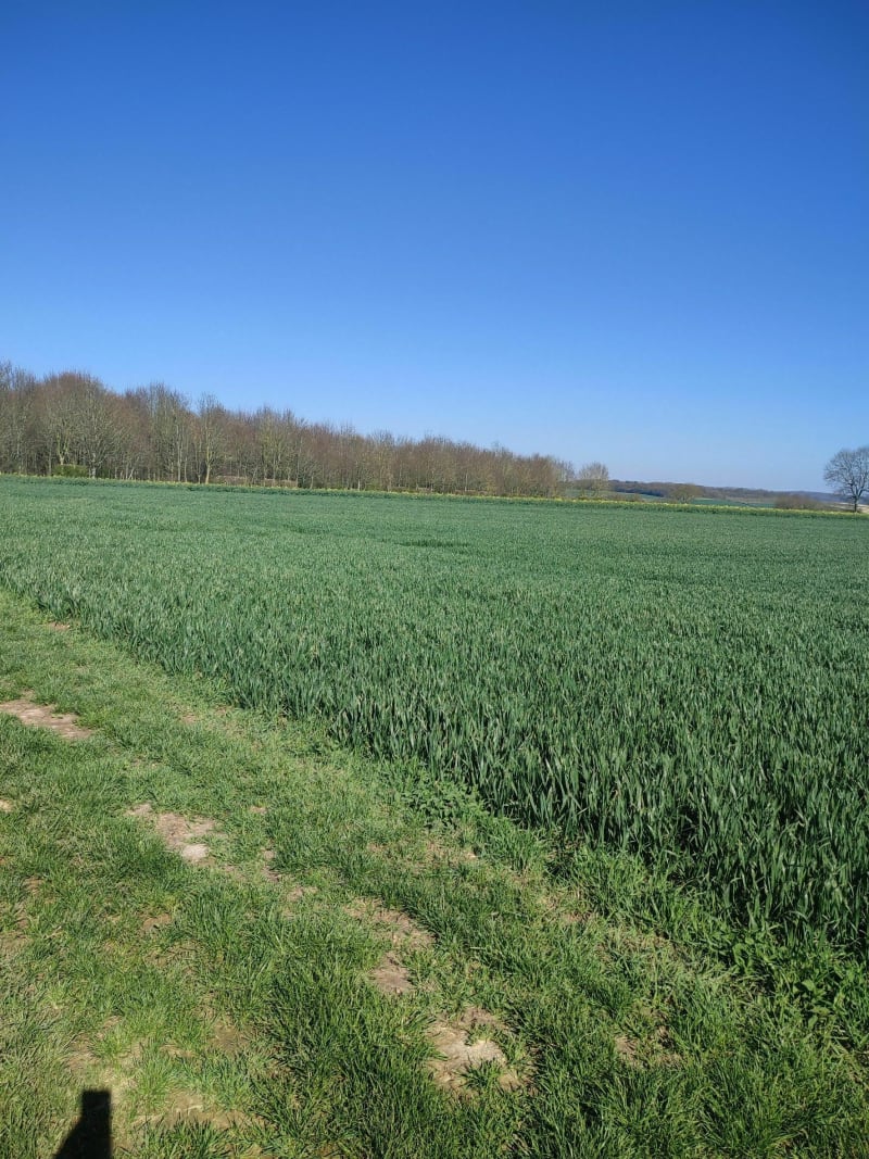 Rainneville, Molliens-aux-Bois, St-Gratien, Cardonnette en boucle - Rainneville