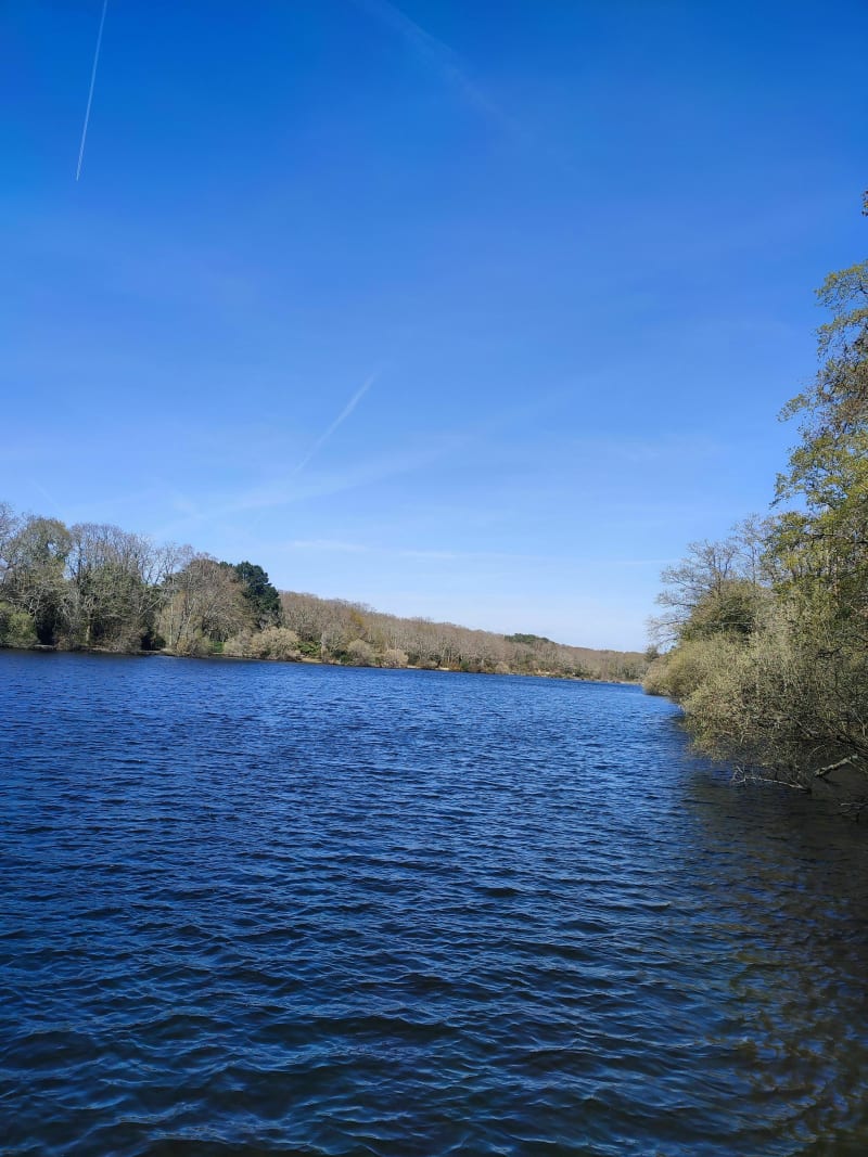 Savenay et le marais de Fresnier - Savenay