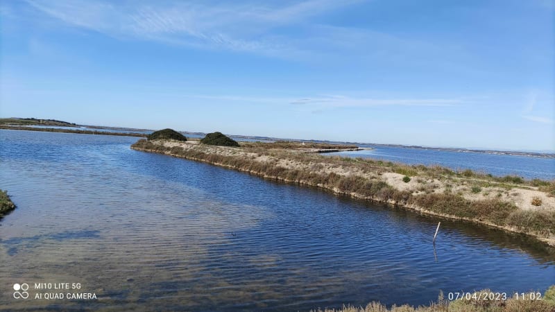 Balade au bord de l'étang de Thau - Sète
