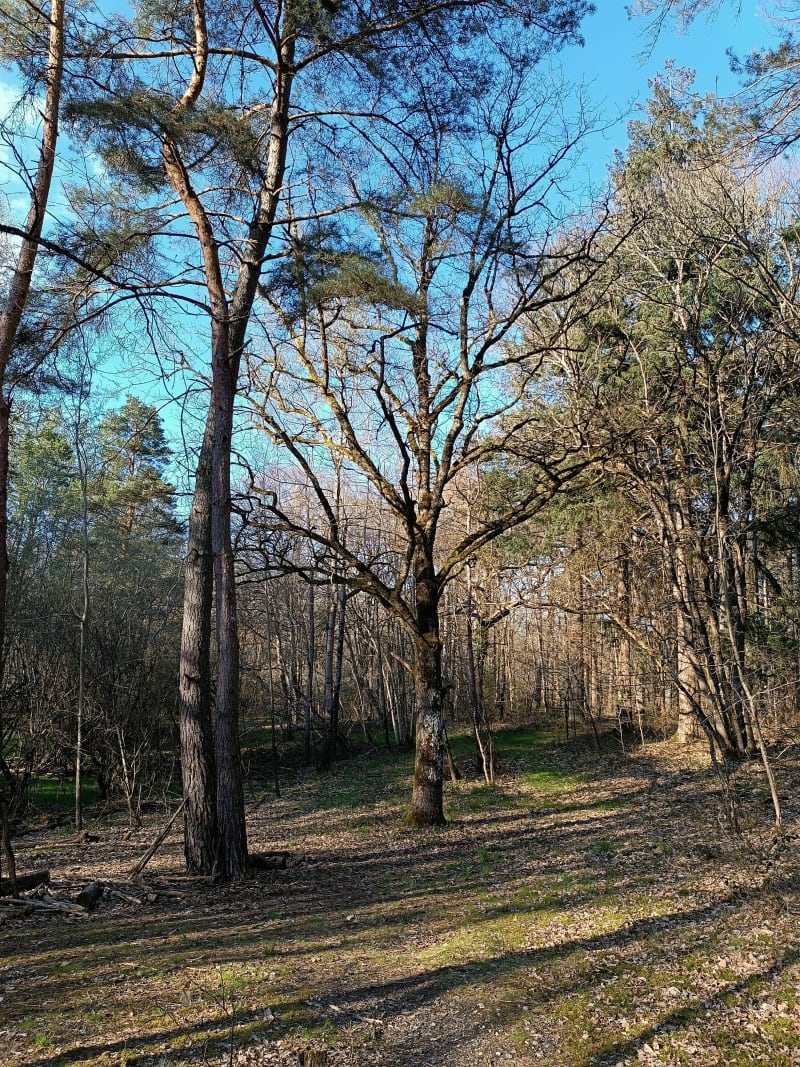 Balade au parc naturel départemental des Dolines de Limère - Ardon