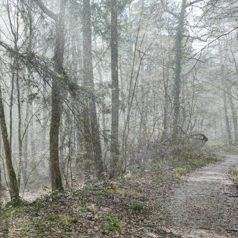 Promenade Bernard - Bessoncourt