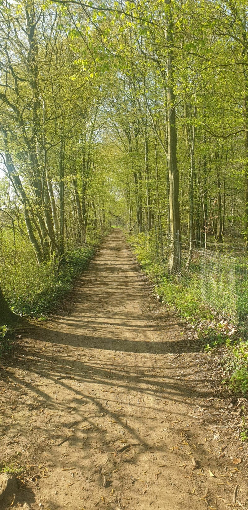 Tour du Bois d'Hebecourt - Hébécourt