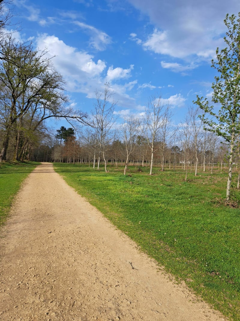 Parcours sportif, chemin de Ménasse, circuit jaune - Saint-Pierre-du-Mont