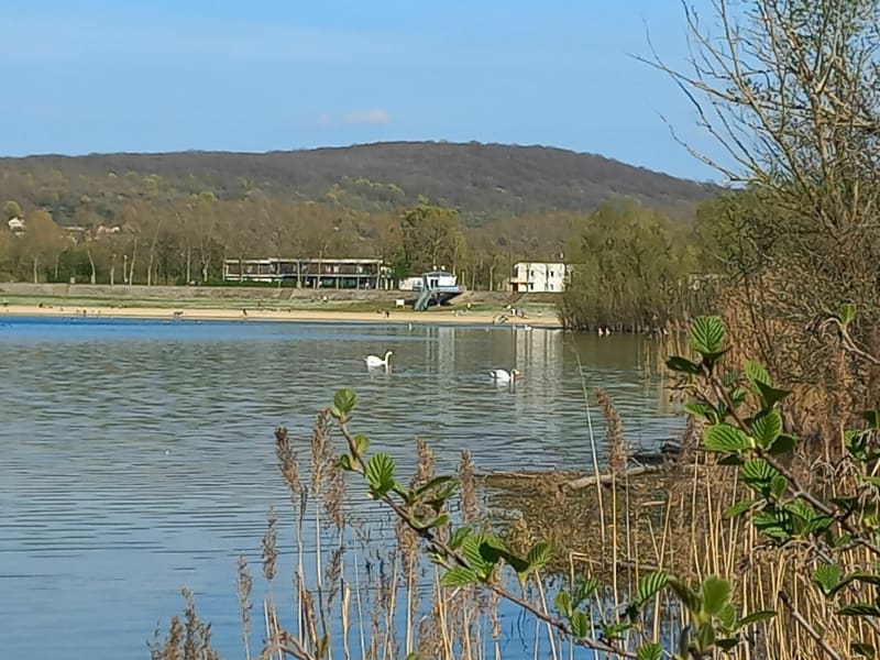 Tour des étangs de Verneuil - Verneuil-sur-Seine