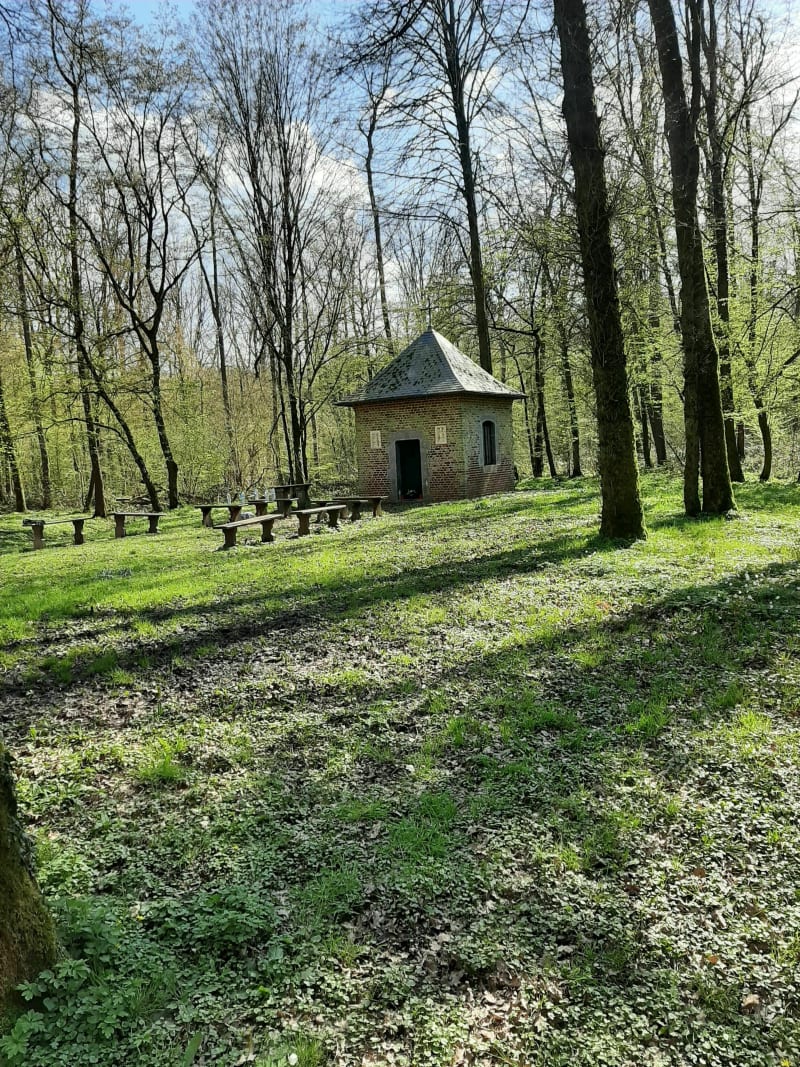 Belle balade au bois l'Evêque et vers le canal de la Sambre - Ors