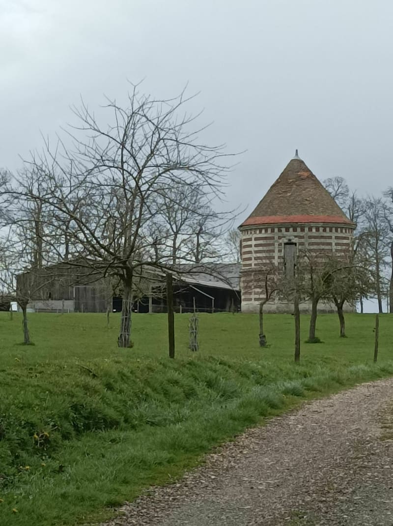 La campagne autour de Beuzeville - Bréauté