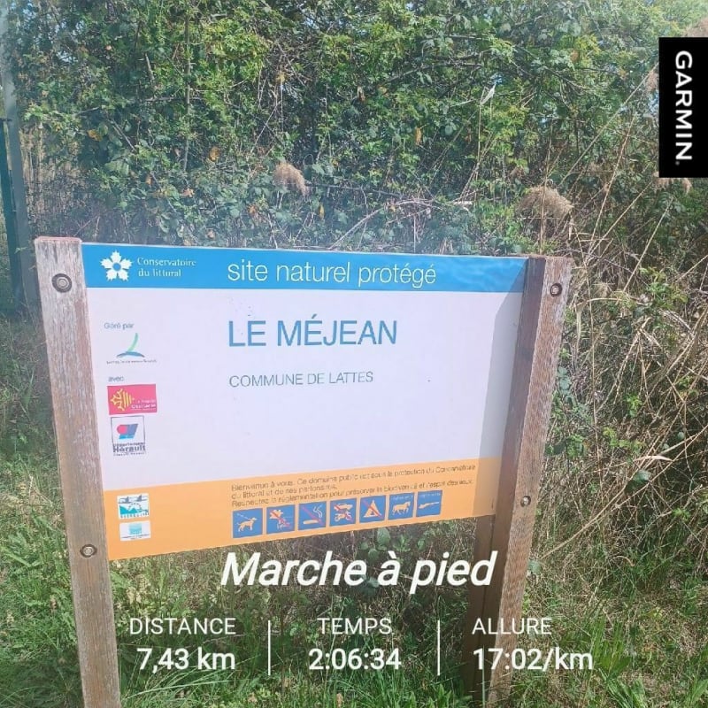 Site naturel protégé Le MÉJEAN à Lattes - Lattes