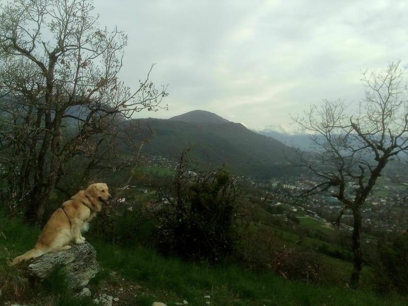 Grand tour de Monterminod - Saint-Alban-Leysse