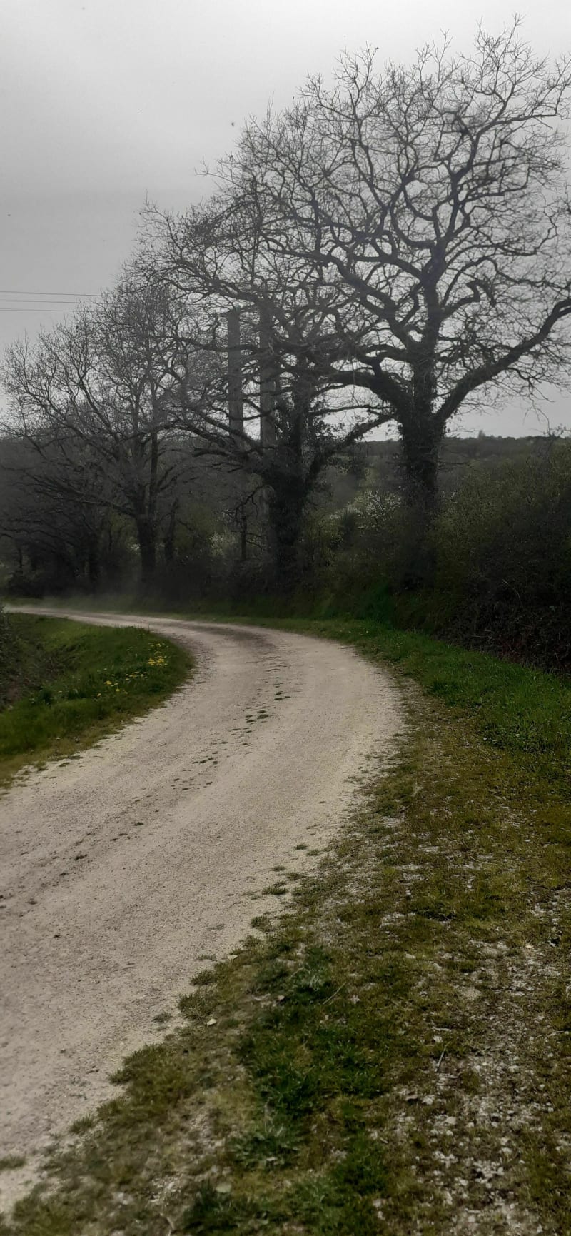 Chemin des Farfadets autour de La Vie - Le Poiré-sur-Vie