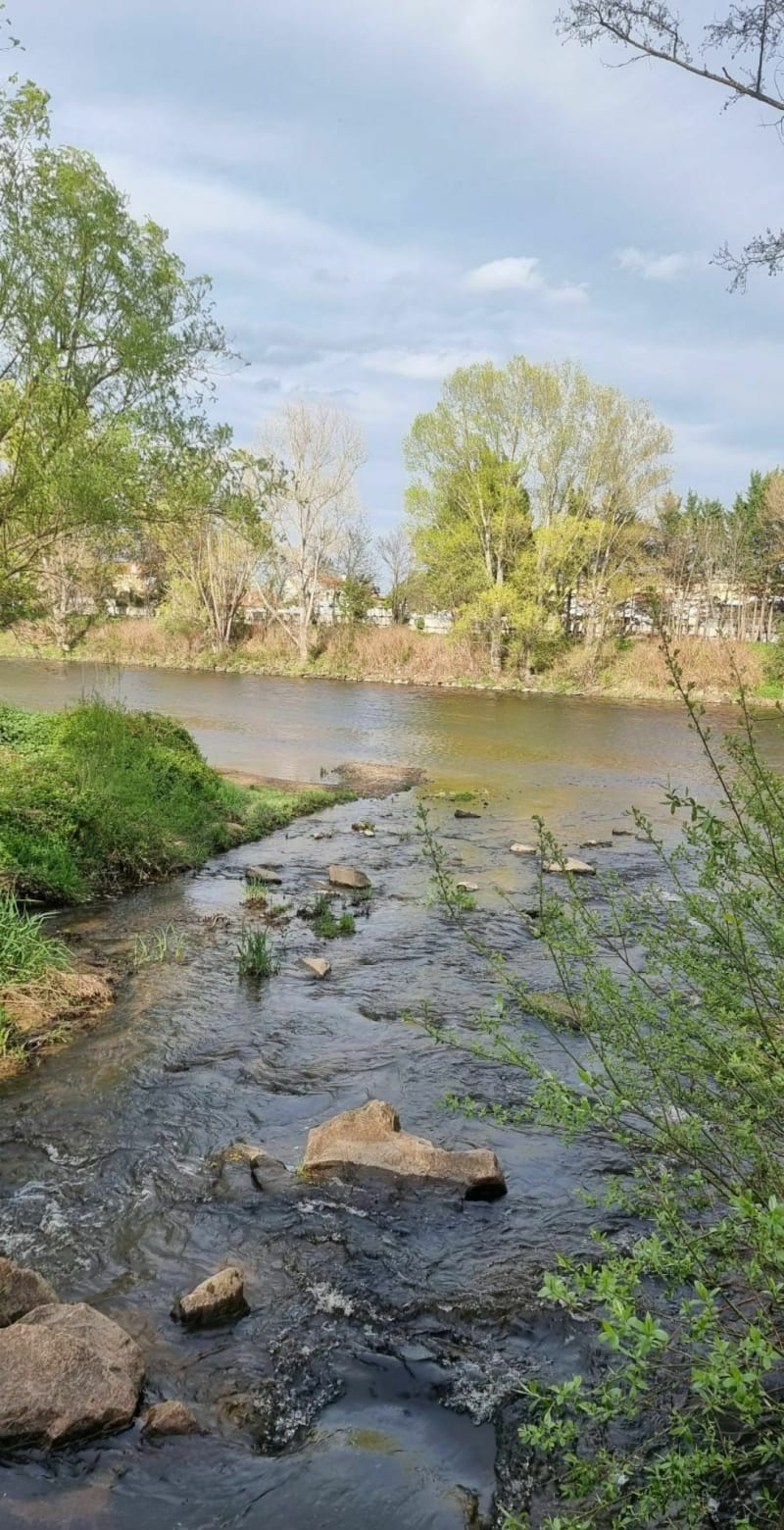 Gour des Véroniques par les bords de Loire - Saint-Cyprien