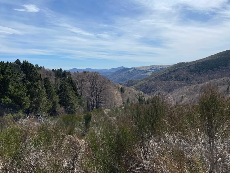 Boucle de la Réserve Naturelle à Prats-de-Mollo-la-Preste - Prats-de-Mollo-la-Preste