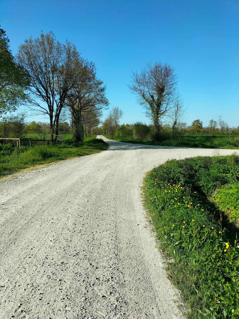 À la découverte de la campagne Bellevilloise - Bellevigny