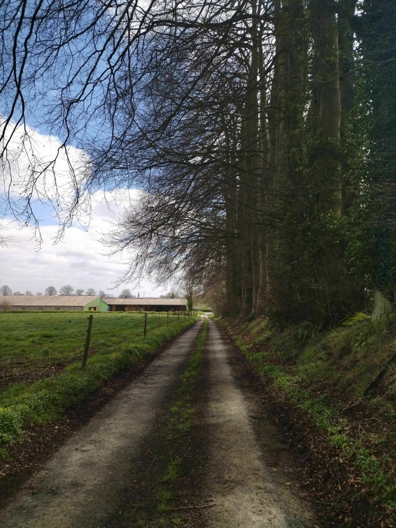 Balade en pleine campagne du pays de Caux - Terres-de-Caux