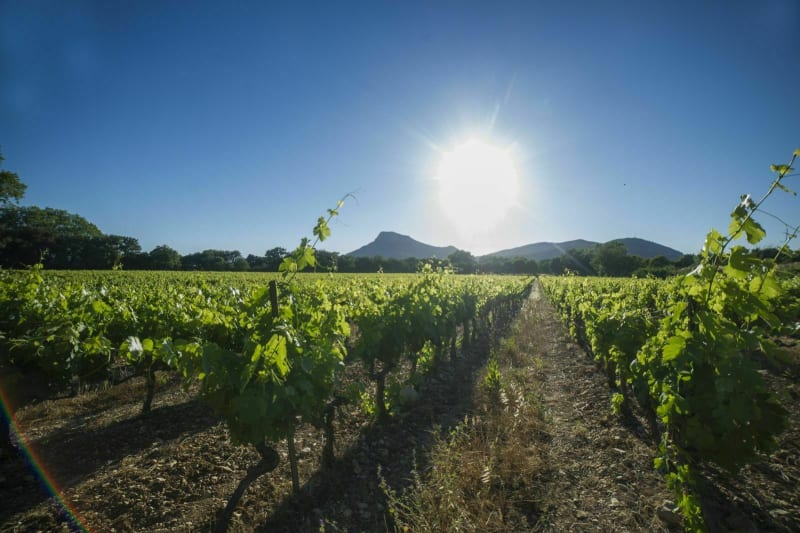 Petite balade pour se dégourdir les jambes depuis La Crau - La Crau